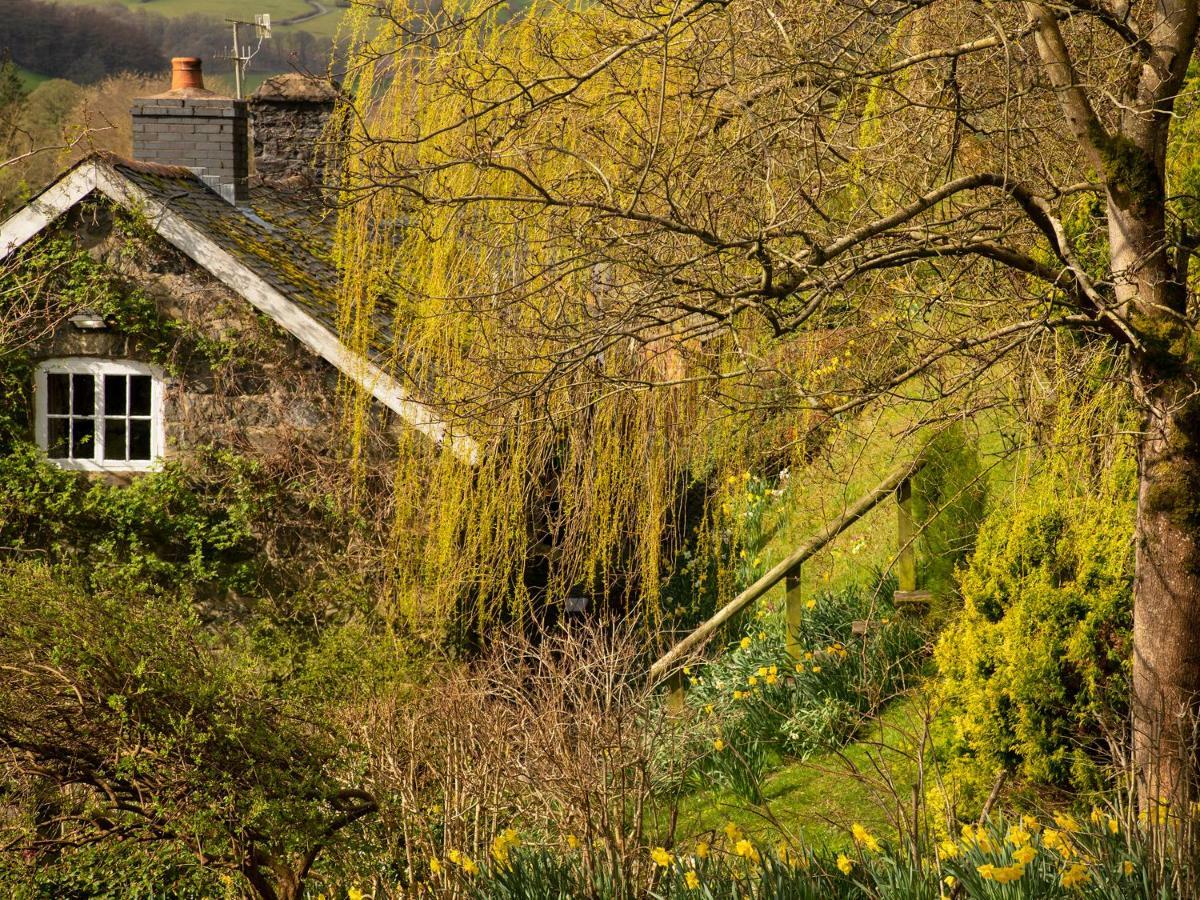 Dolgenau Cottages Trefeglwys Exterior foto