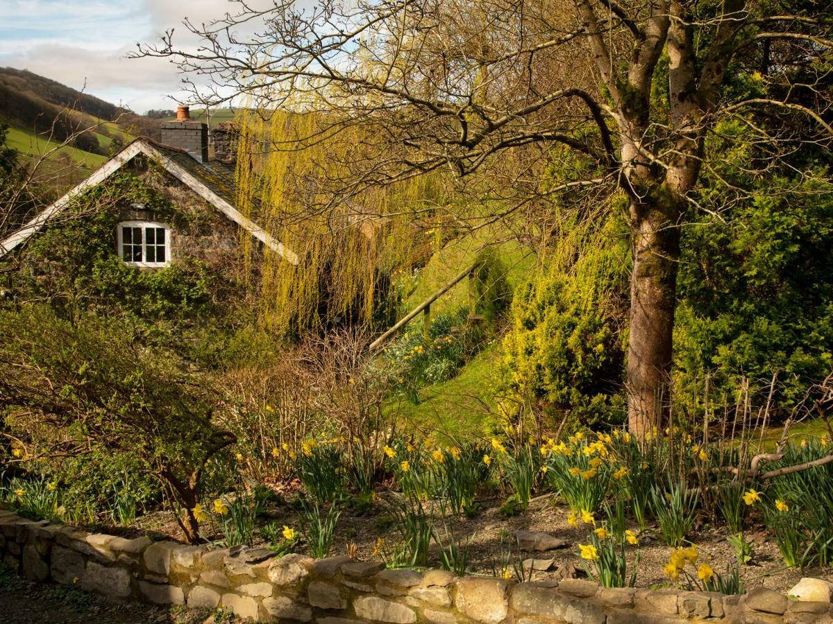 Dolgenau Cottages Trefeglwys Exterior foto